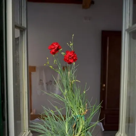 Holiday home Zafiri House Kavallos (Lefkada)